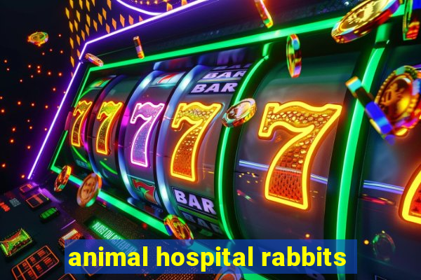 animal hospital rabbits